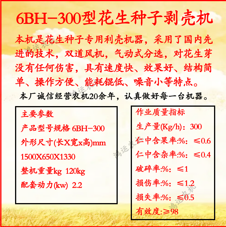 花生种子去皮机